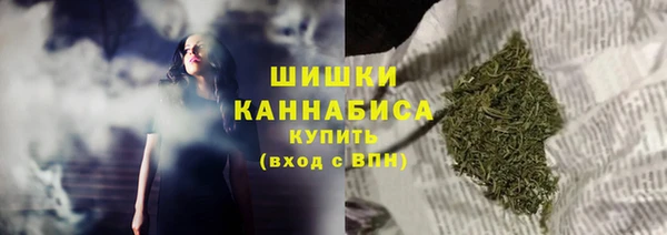 ECSTASY Краснослободск