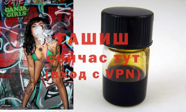гашик Галич