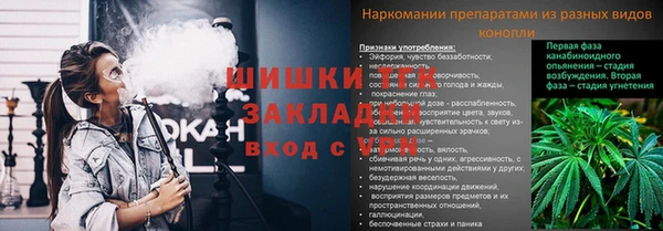 СК Коряжма