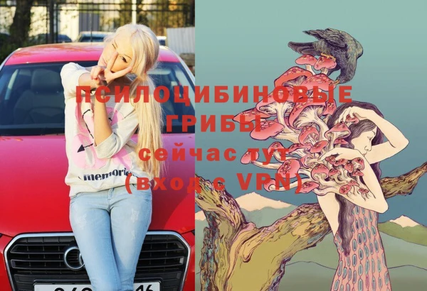 ECSTASY Краснослободск